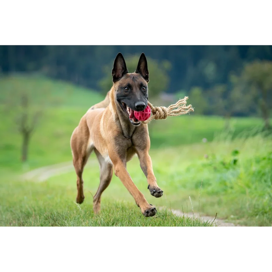Hundespielzeug aus Hanffaser
