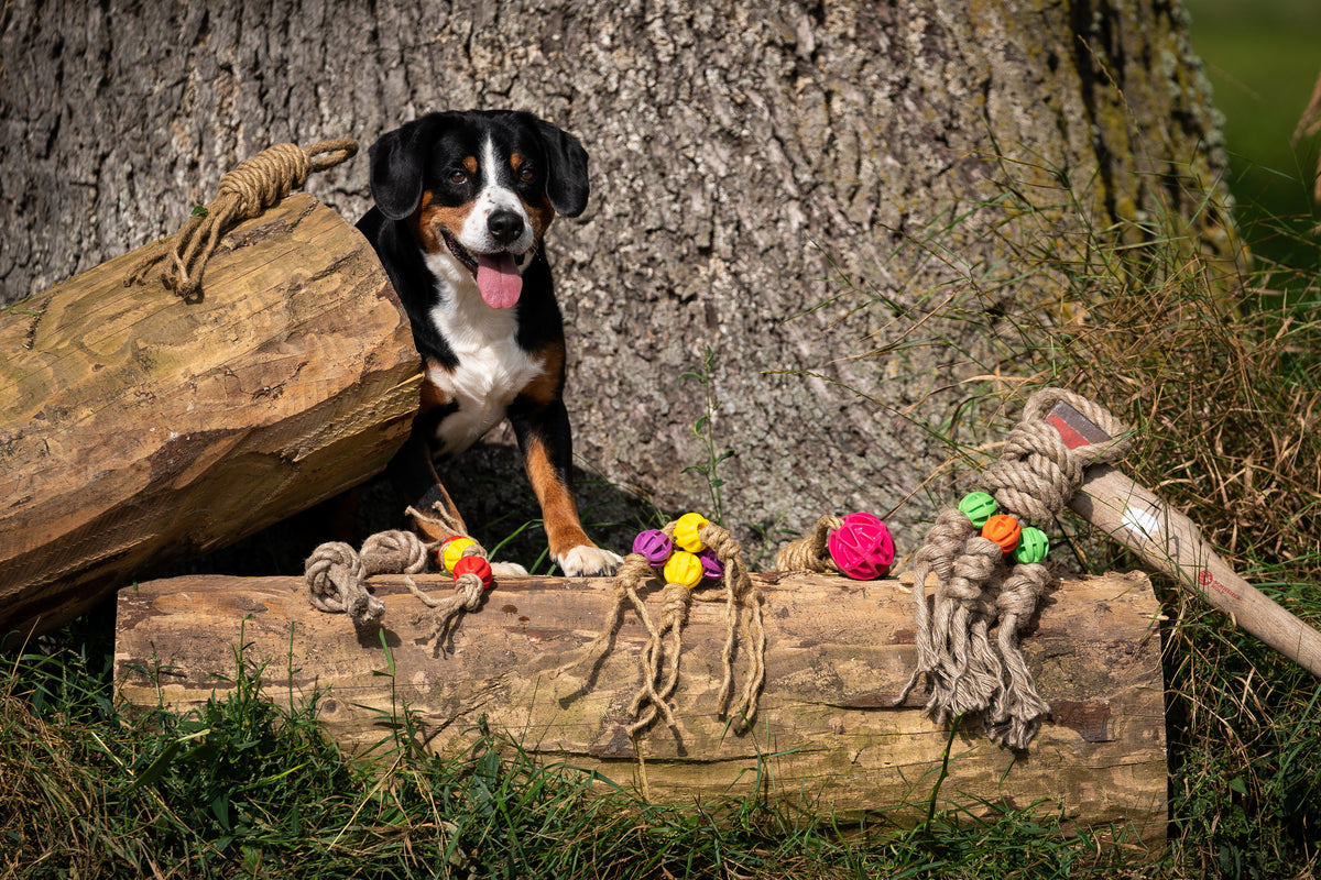 Spielzeug für Hunde