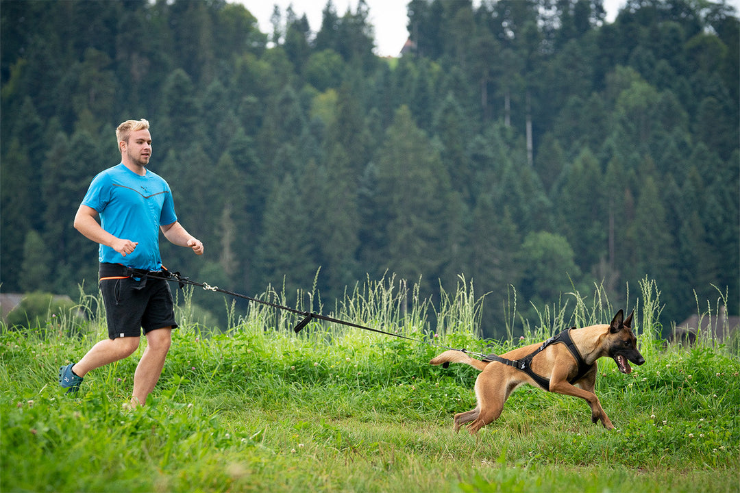 Dog training