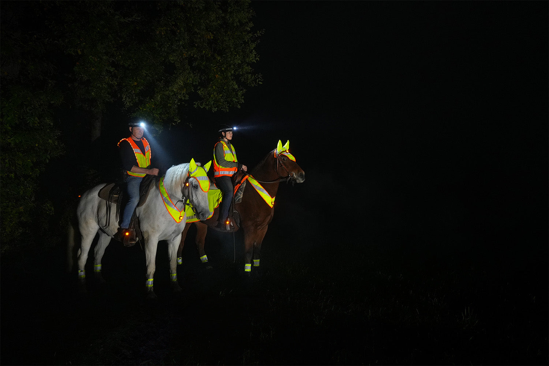 Illuminated articles for rides