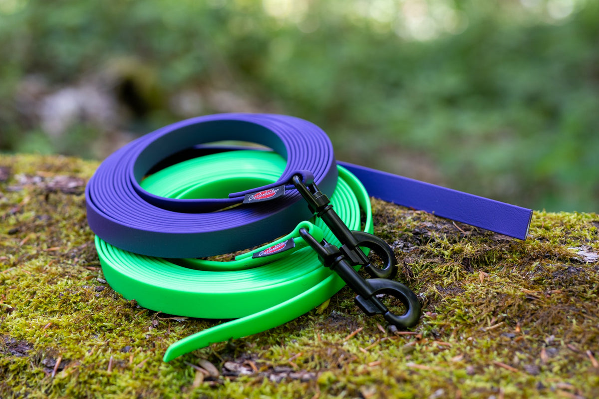 Dog Leashes