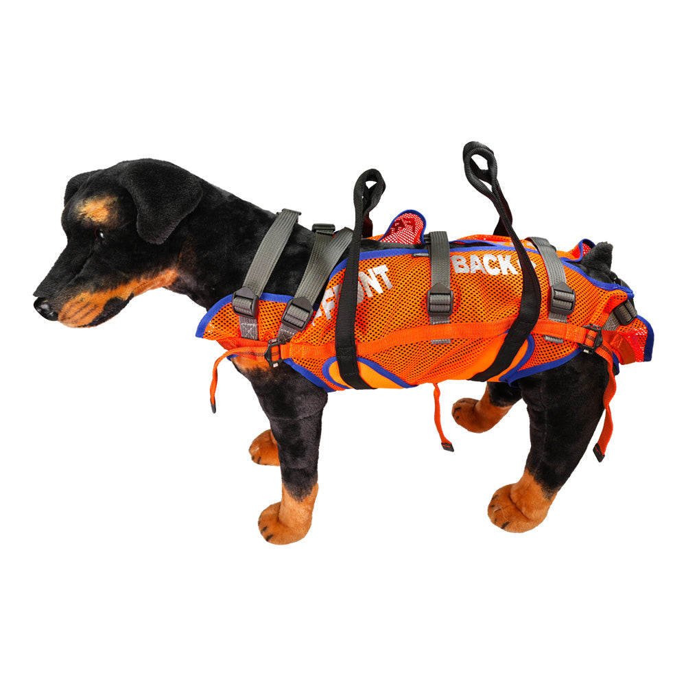 Abseiltasche für Hunde, aus Netzmaterial und Gurten. Zum Abseilen von Hunden. orange. von oben