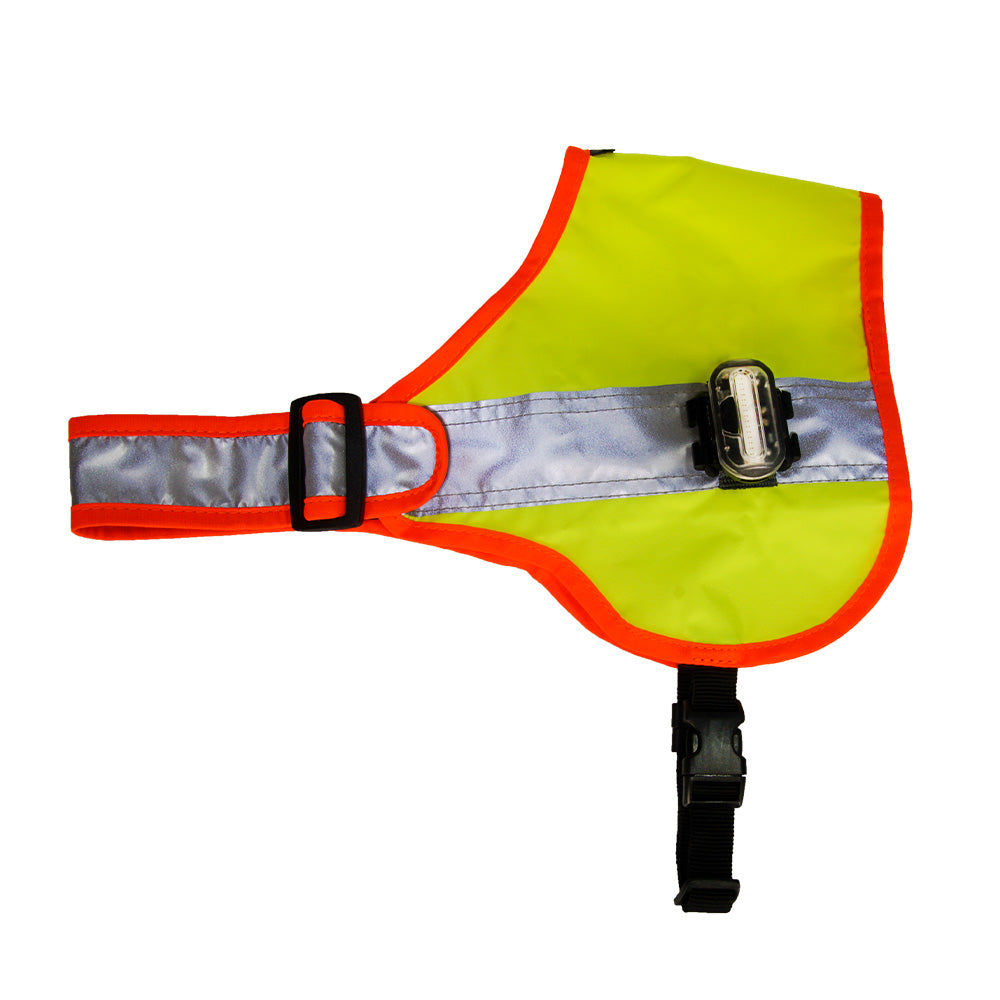 Hundeleuchtdecke Balou LED
