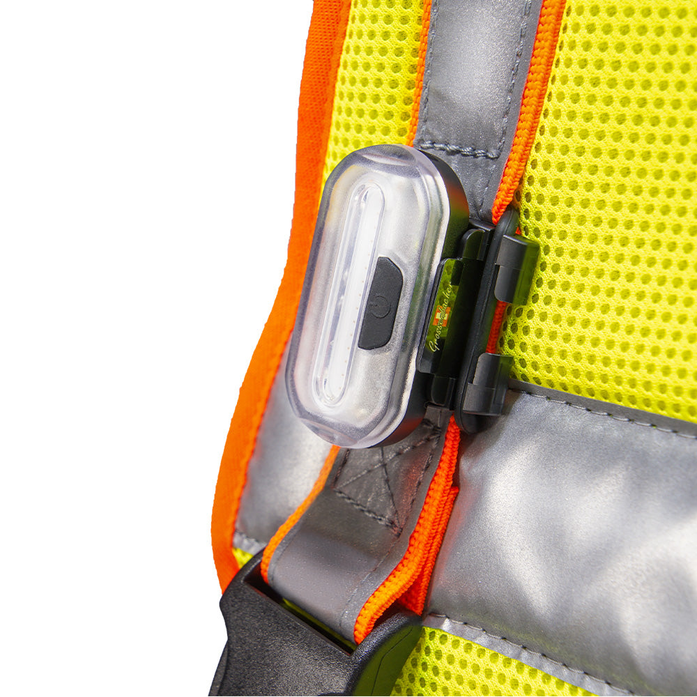 Hundeleuchtdecke Balou Profi mit LED