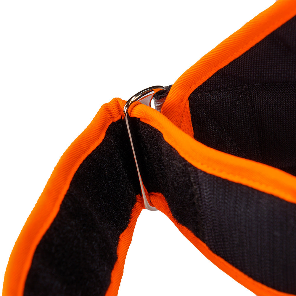 Hundeleuchtdecke Balou Profi mit LED