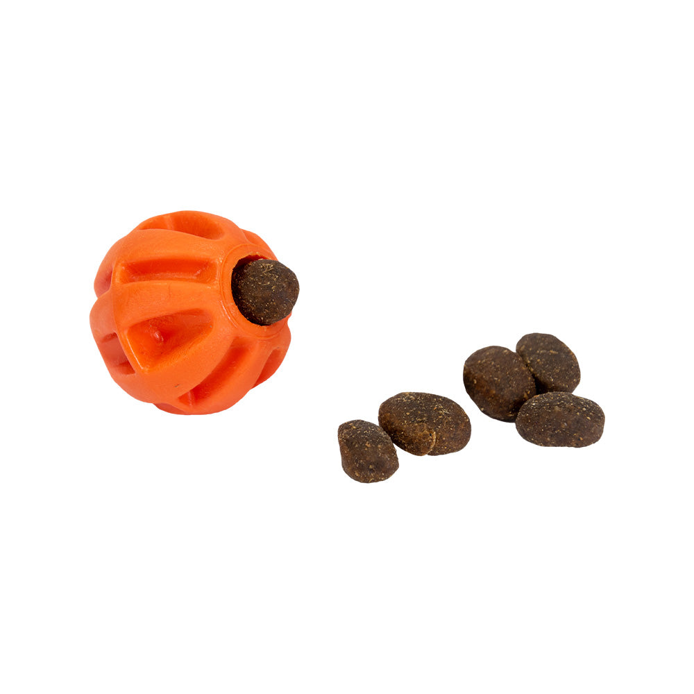 Baxter Ball klein Doppelpack