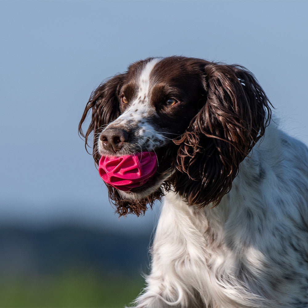 Baxter Ball