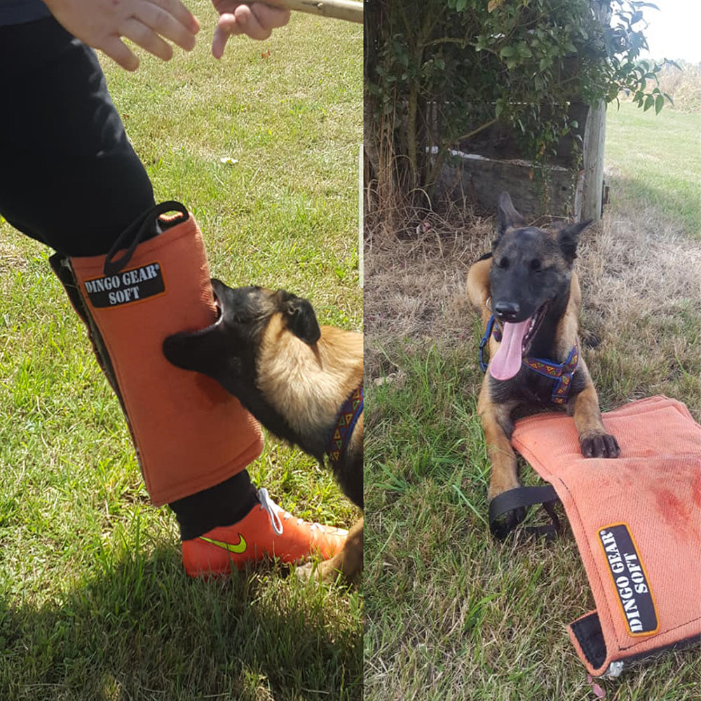 Manchette de jambe courte SOFT - Dingo Gear