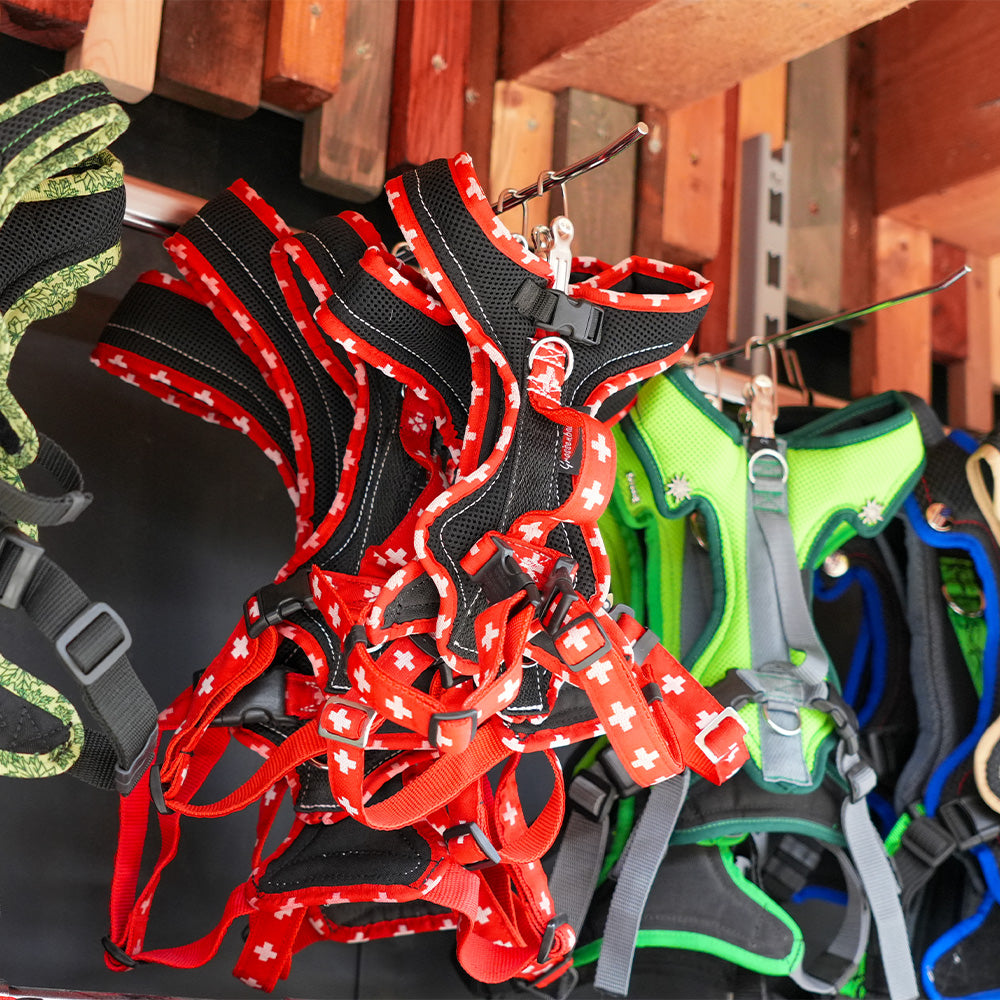 Il nostro assortimento completo
