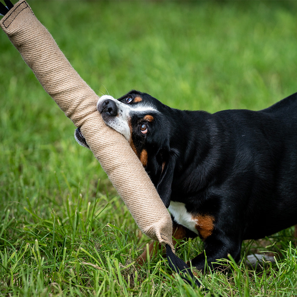 Boudin Jute
