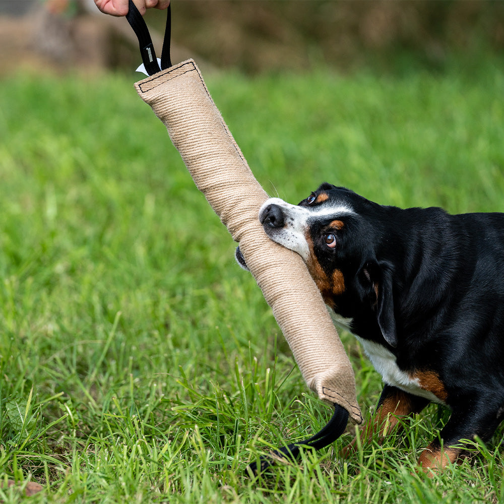 Boudin Jute