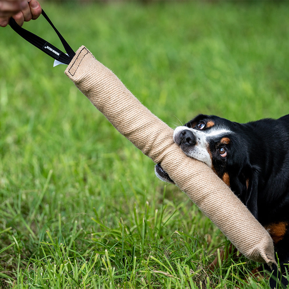 Boudin Jute