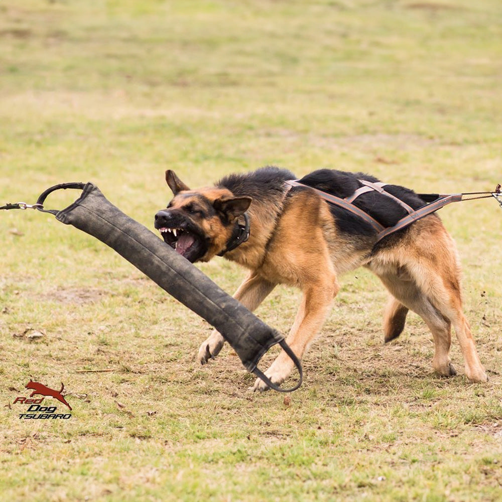 Boudin extra fort, deux boucles - Dingo Gear