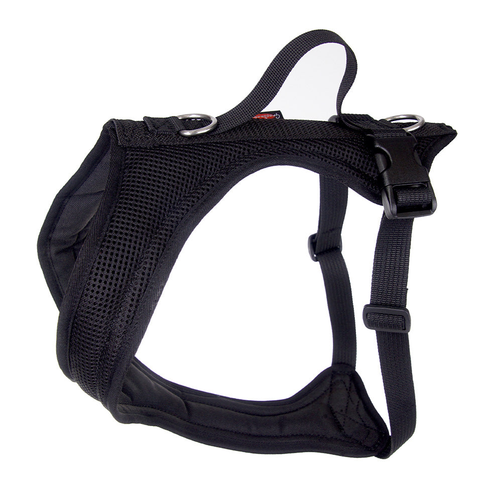 Hundegeschirr Dog`s Fun Run schwarz, made in Europe, Sonderposten, Outlet