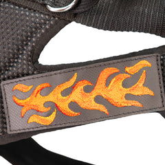 Hundegeschirr Dog`s Fun Run Batch schwarz, mit schwarzer Einfassung. Detailansicht eines Patches auf einem der Klettfelder.