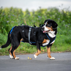 Hundegeschirr Dog`s Fun Run Support XLong, für ältere und gebrechliche Hunde und nach Operationen. in der Natur.