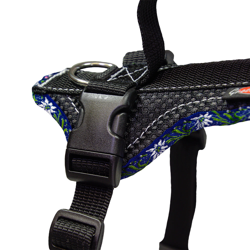 Dog harness Grossenbacher Dog`s Fun Run Edelweiss royal blue