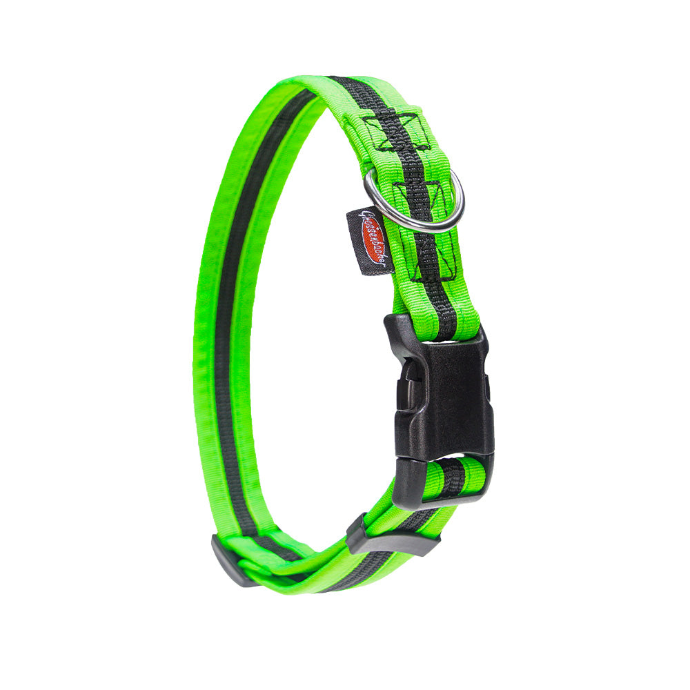 Halsband eingefasst direkt