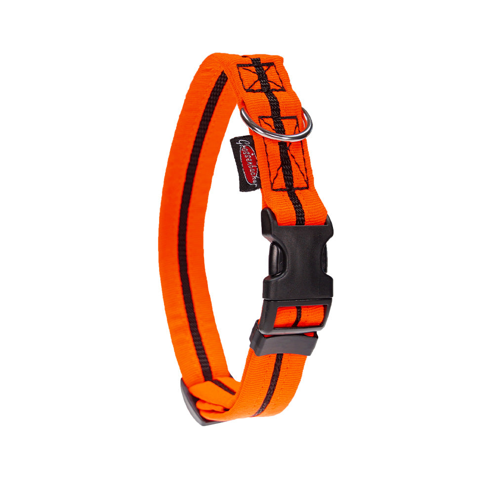 Halsband eingefasst direkt