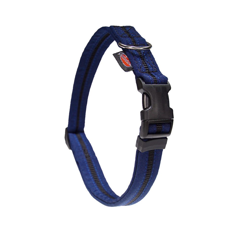Halsband eingefasst direkt
