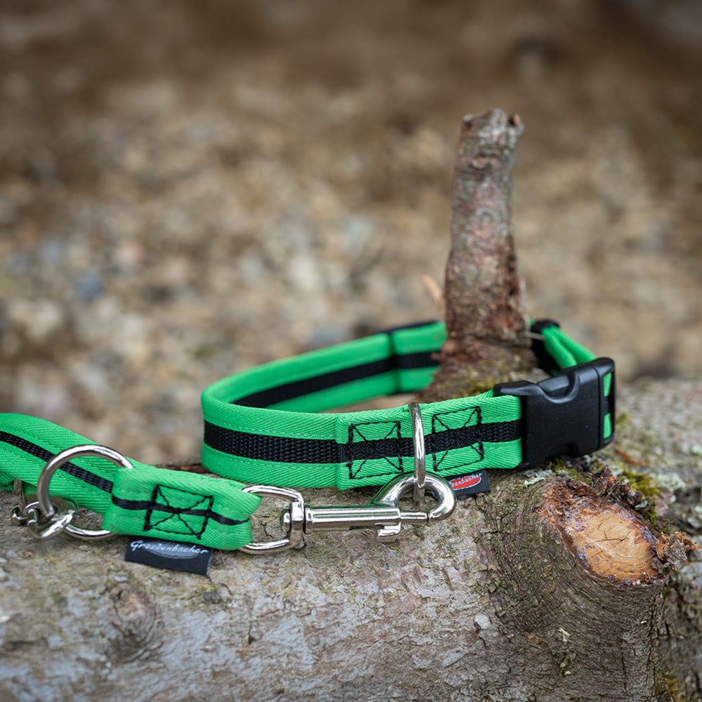 Halsband eingefasst direkt