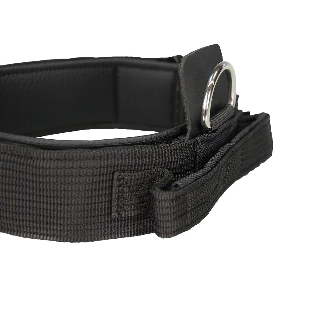 Profi Attack Collar