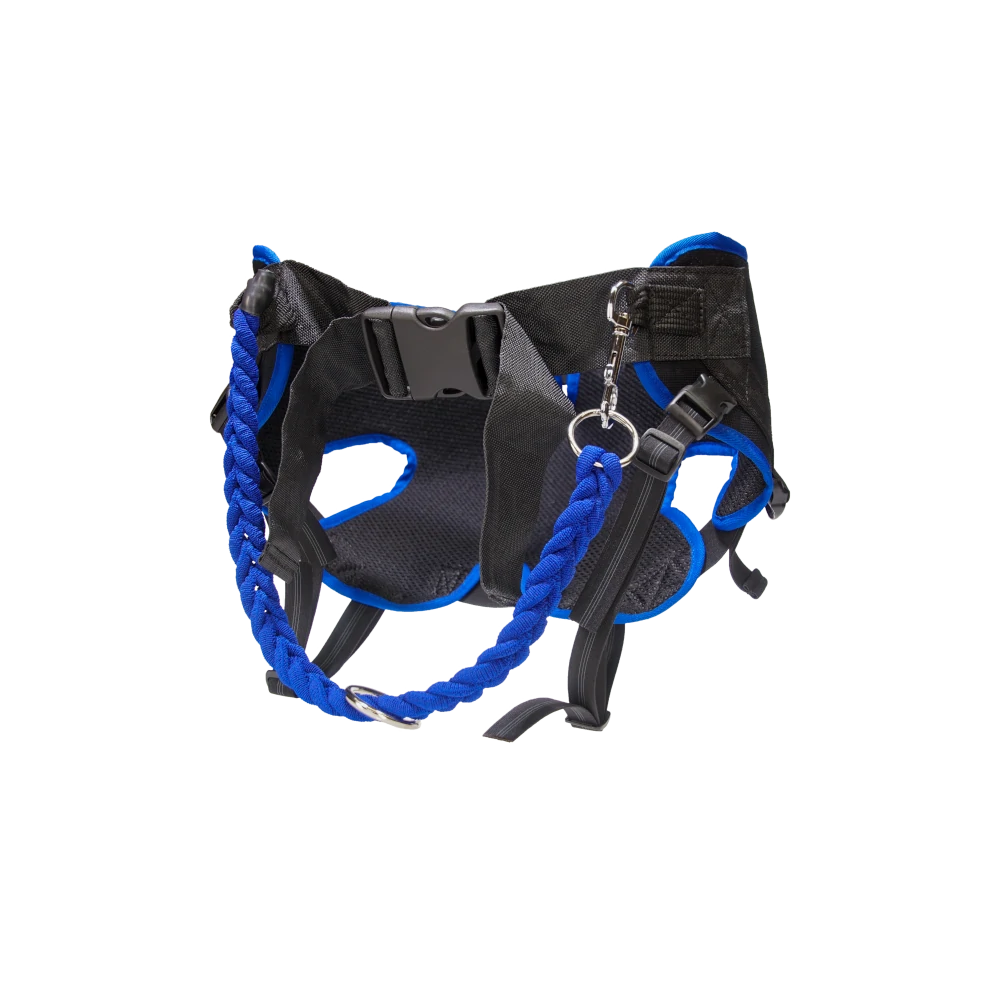 Ceinture de jogging Pantalon