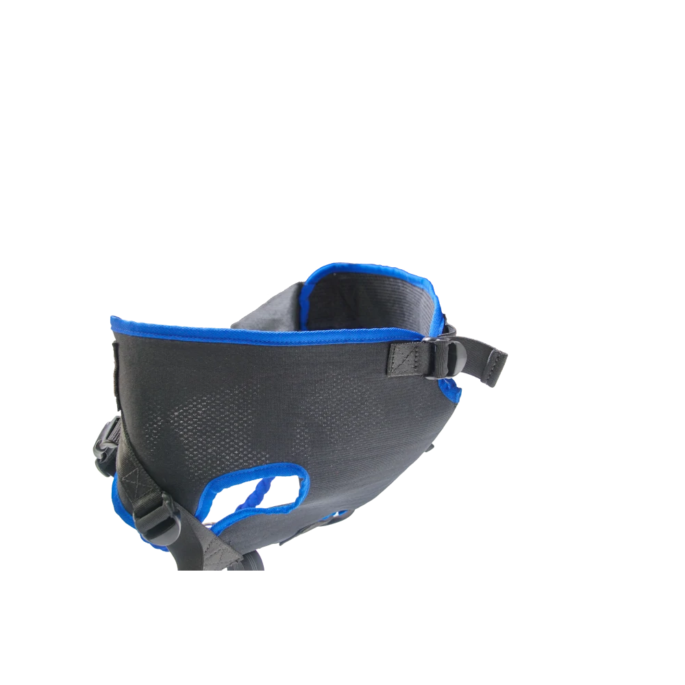 Ceinture de jogging Pantalon