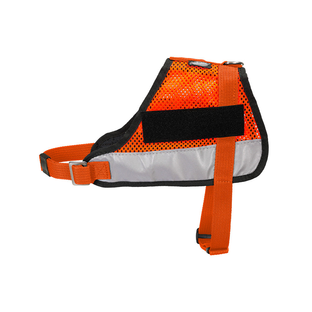 Kenndecke Netz Standard Gurte Orange