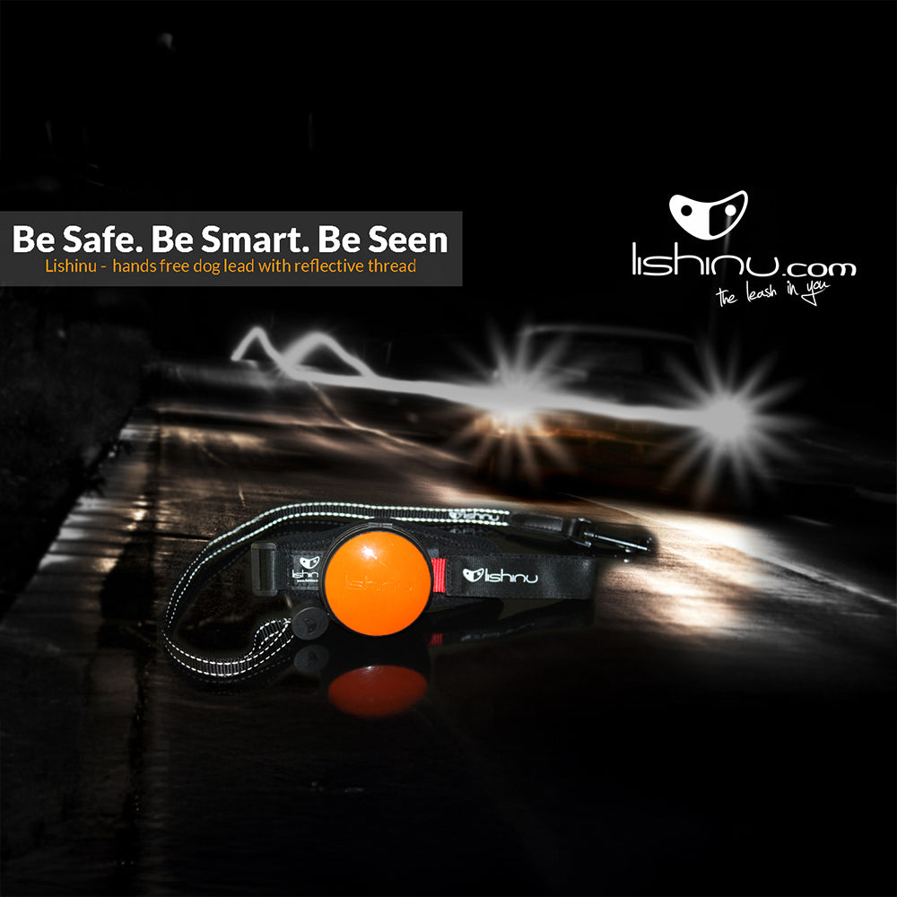 Lishinu 3-in-1 intelligente Hundeleine-Rolleine orange