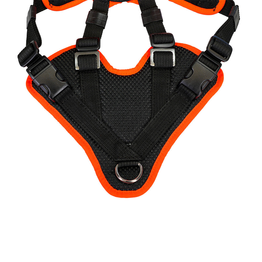 Mantrailing-Geschirr V Standard Schwarz