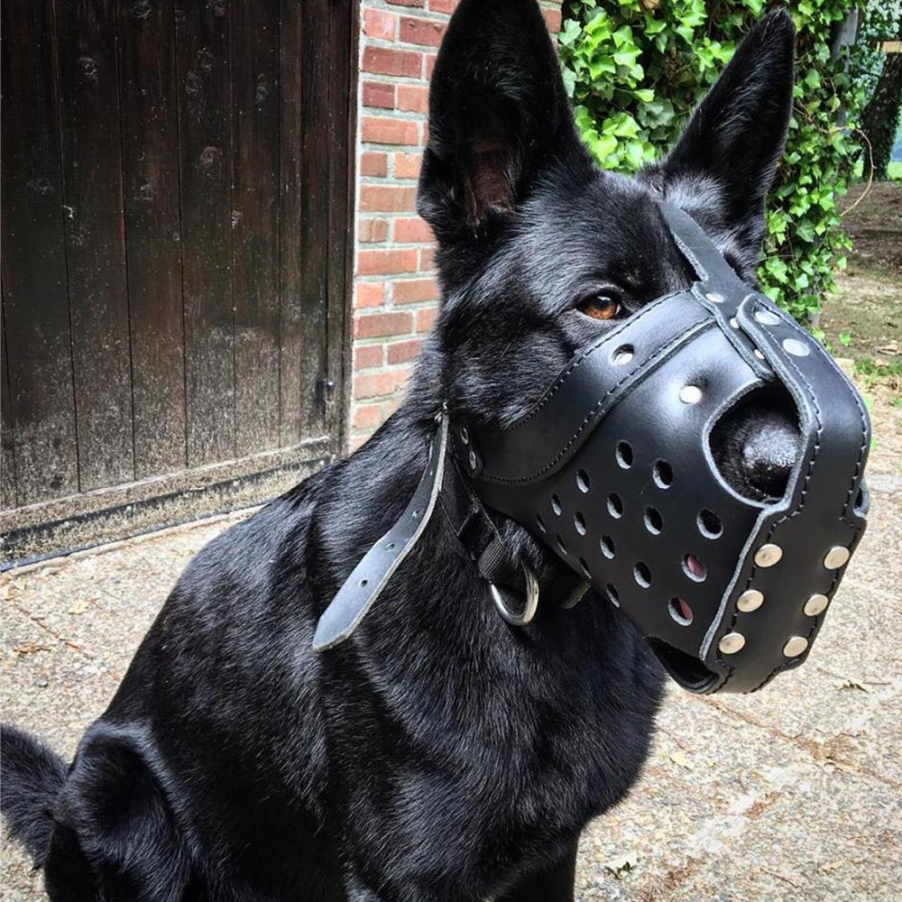 Maulkorb Leder für Einsatz und Training - Dingo Gear