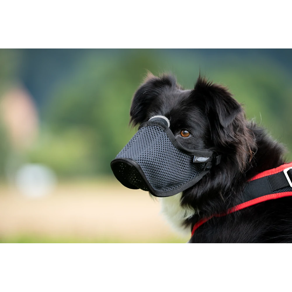 Maulkorb Light, mit Filz