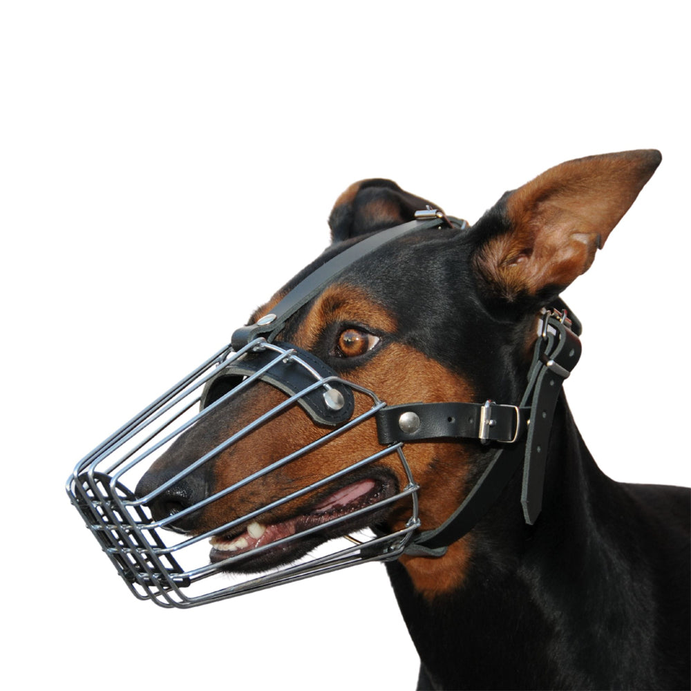 Maulkorb Metall - Dingo