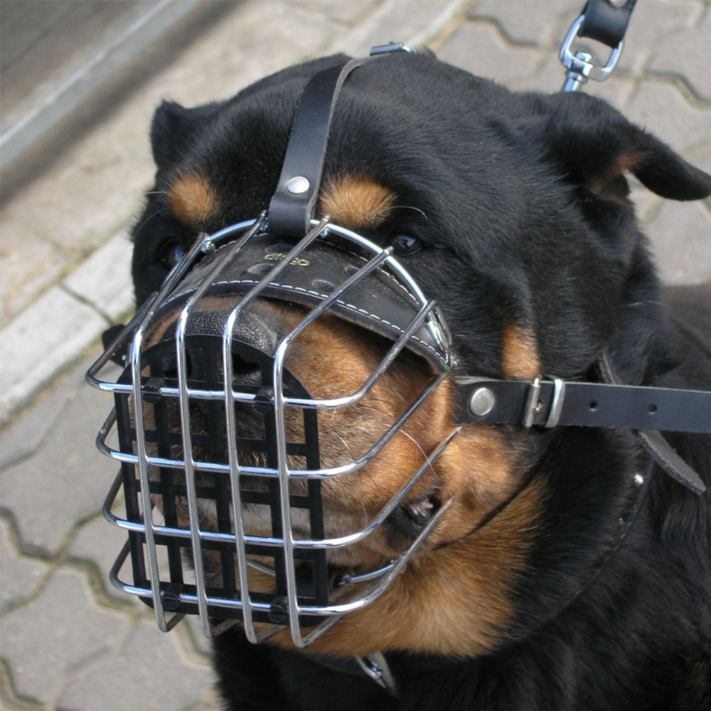 Maulkorb Metall - Dingo