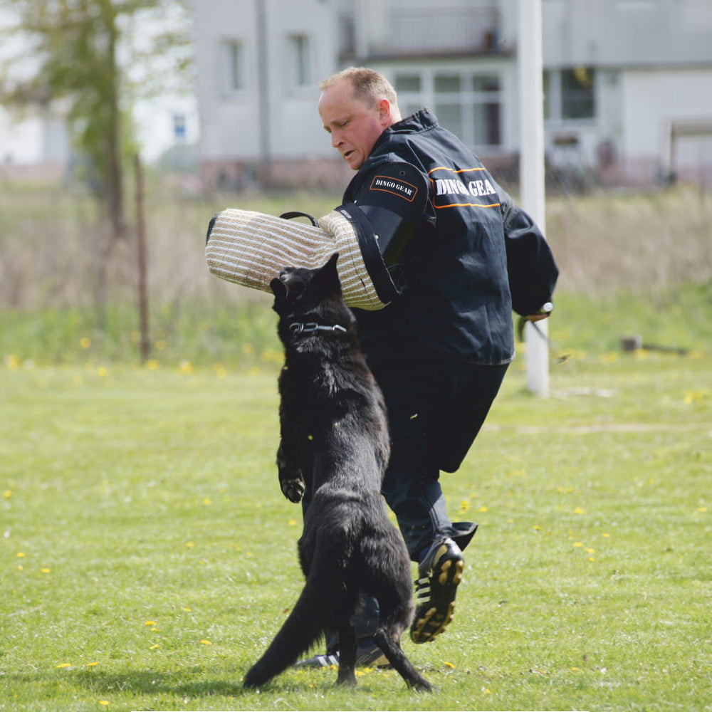 Protezione superiore del braccio Dingo Gear