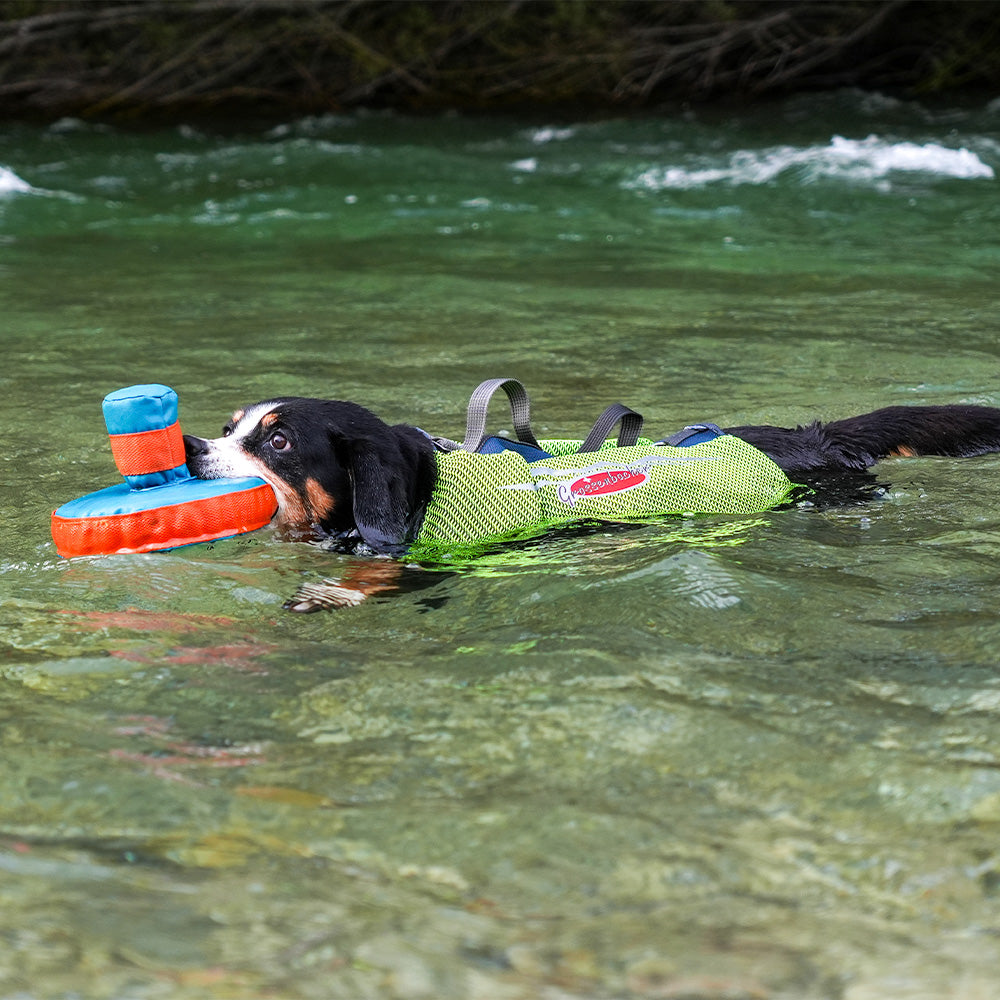 Schwimmweste