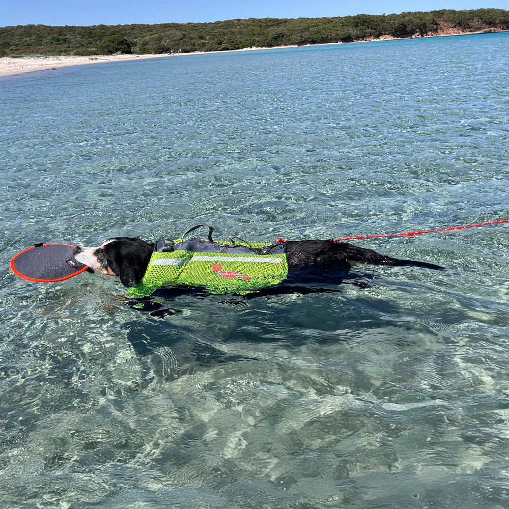 Schwimmweste