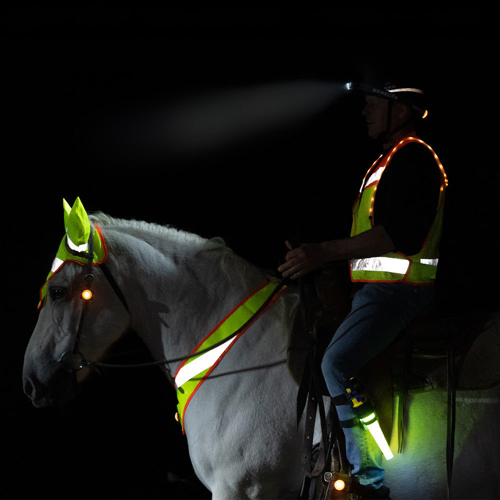 Lampada da equitazione Lena