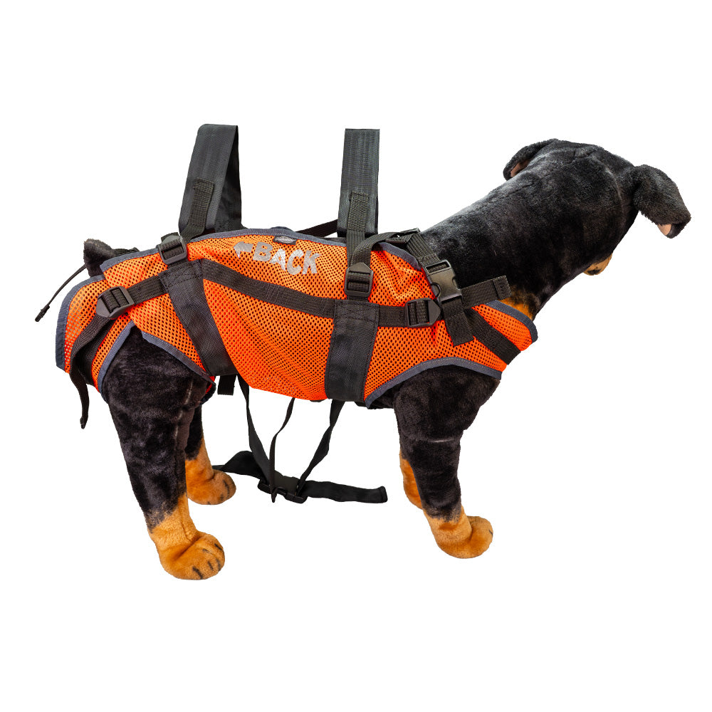 Zaino da trasporto per cani, realizzato in materiale a rete permeabile all'aria e con robuste cinghie. Vista posteriore