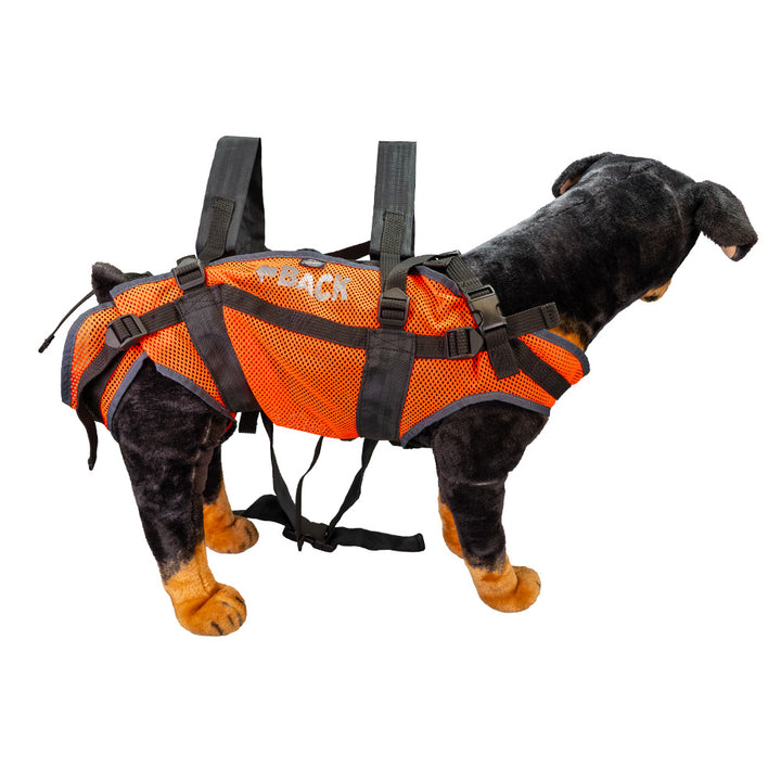 Zaino da trasporto per cani, realizzato in materiale a rete permeabile all'aria e con robuste cinghie. Vista posteriore