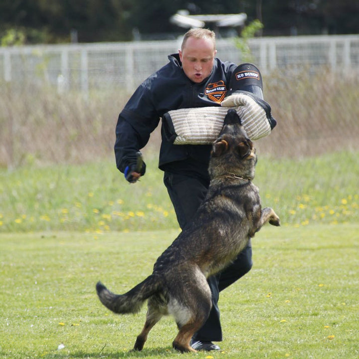Braccio da allenamento FRED 2 medio, in iuta - Dingo Gear