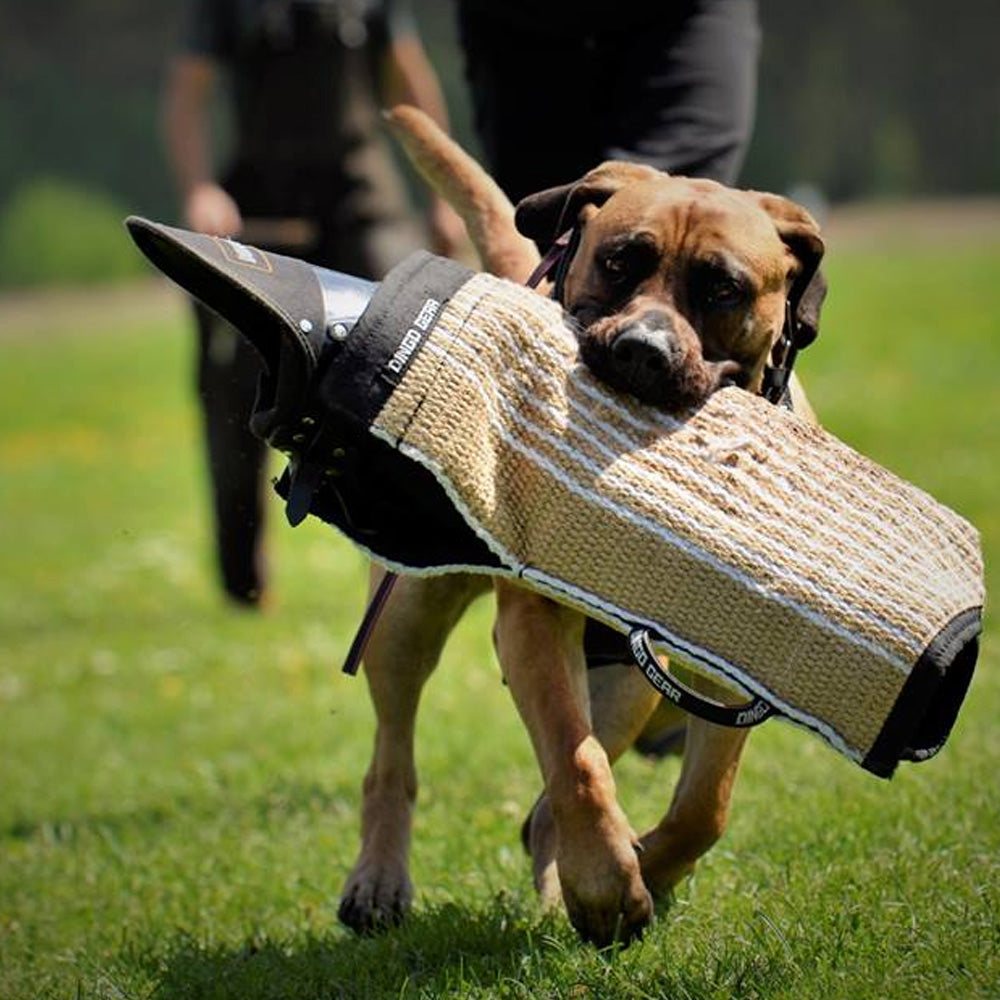 GARDA strong training arm - Dingo Gear