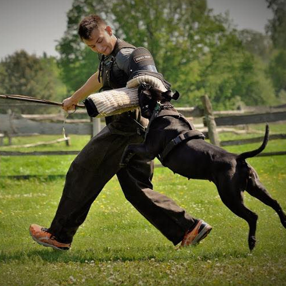 GARDA strong training arm - Dingo Gear