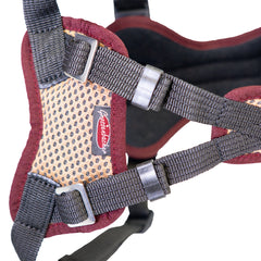 Hundegeschirr für Junghunde Vary Standard, frei einstellbar. beige-bordeaux, Detail Bauch