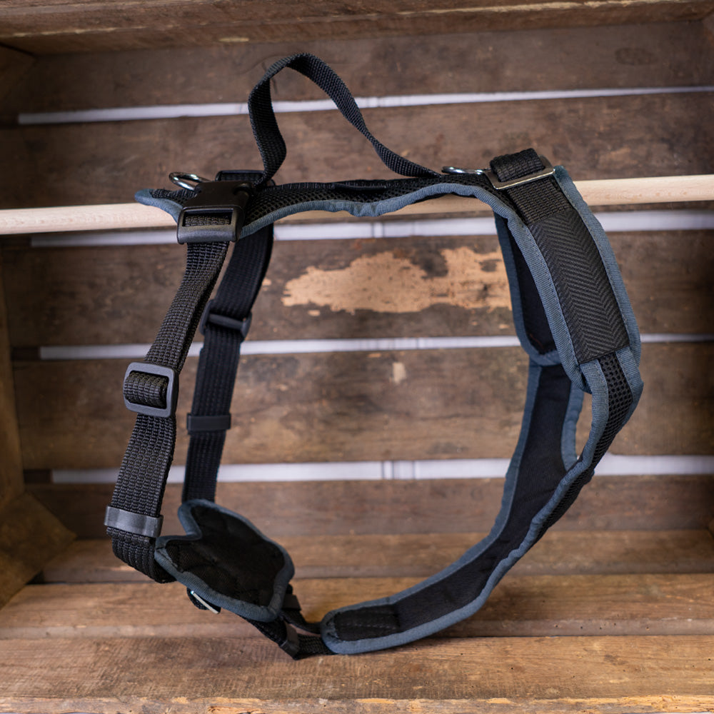Hundegeschirr Vary Sonderfarben, schwarz-dunkelgrau, Outlet, Sale