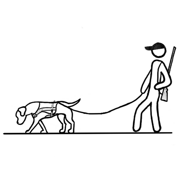 Icona dell'applicazione