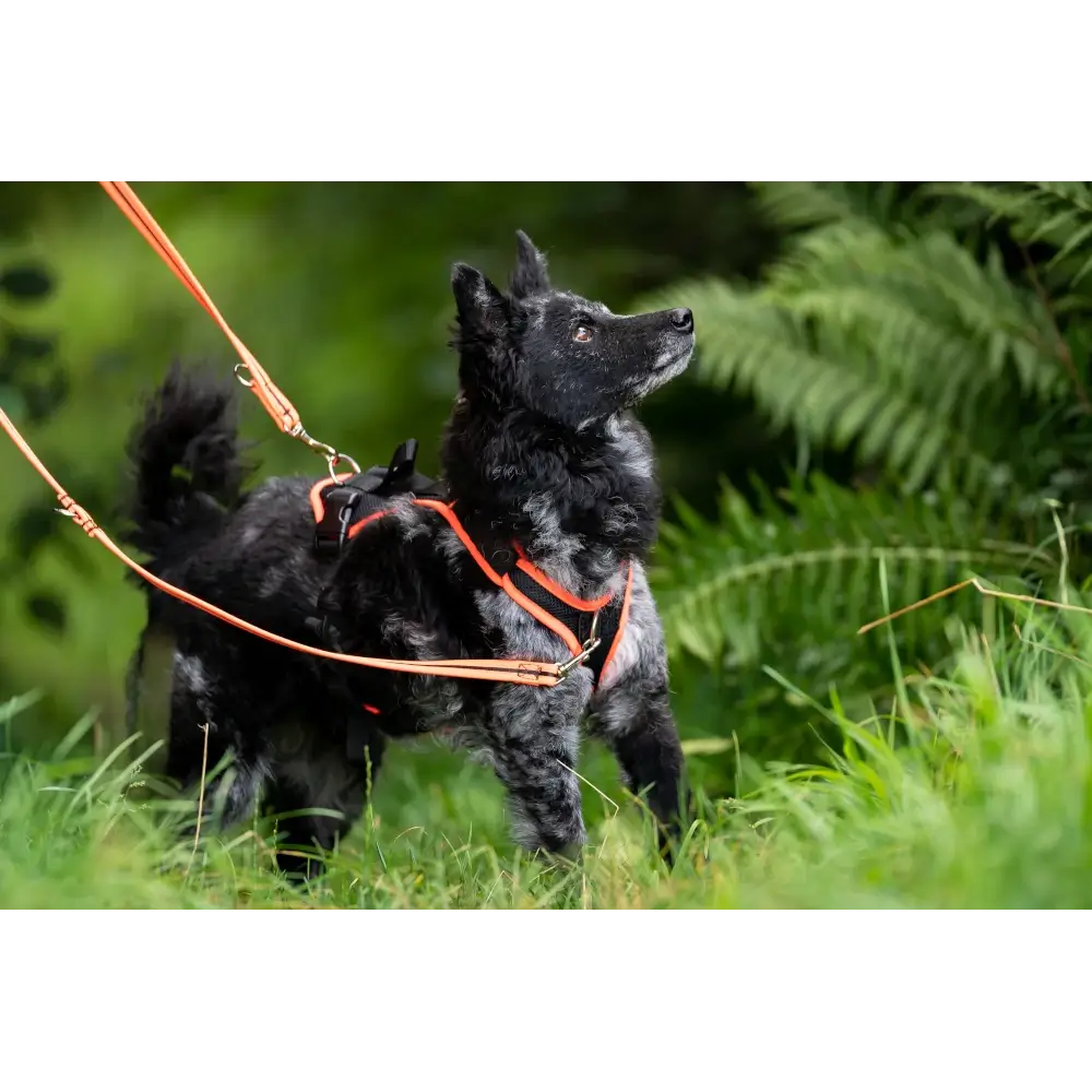 imbracatura per cani Guida Vary Pro