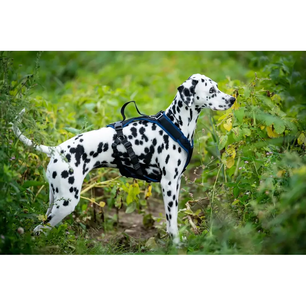 imbracatura per cani Guida Vary Pro
