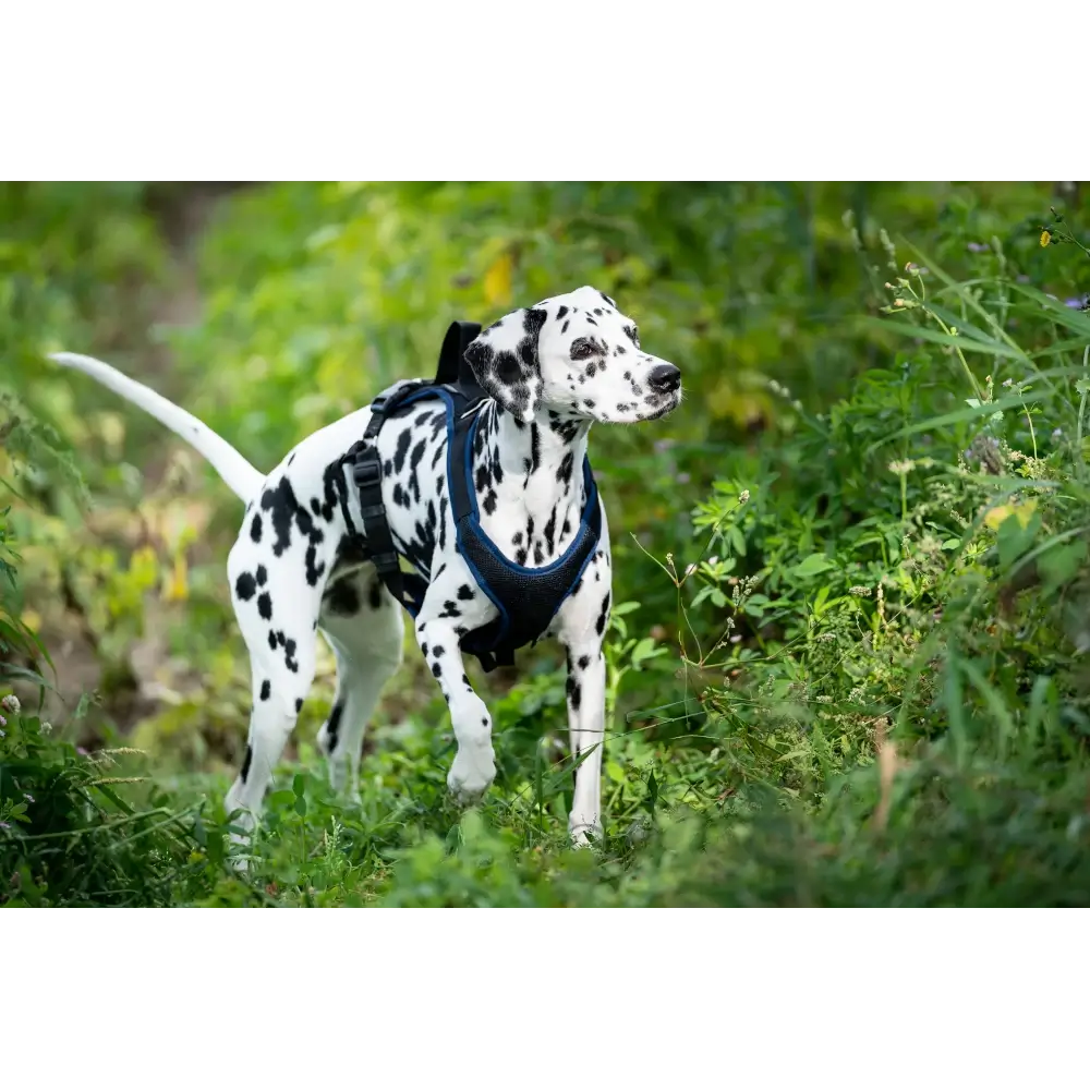imbracatura per cani Guida Vary Pro